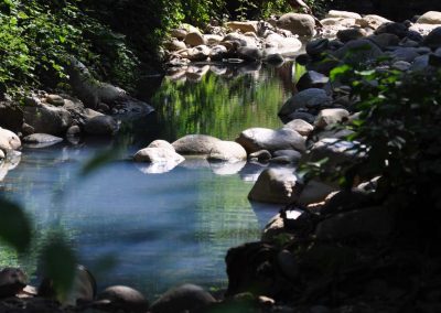 Thermalbad im Wald - Prexigueiro